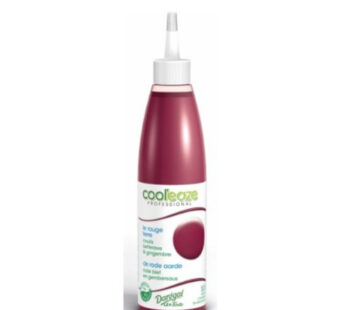 Cool’eaze le Rouge Terre (Coulis) 240 Gr