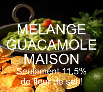 Mélange Guacamole BIO 45 Gr