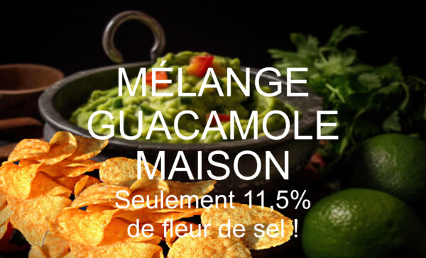 Mélange Guacamole BIO 45 Gr