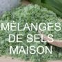 Sels
