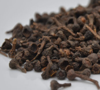 Clou de Cannelier BIO 20 Gr